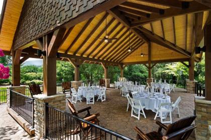 The Park Vista - A DoubleTree By Hilton Hotel - Gatlinburg - image 20
