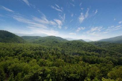 The Park Vista - A DoubleTree By Hilton Hotel - Gatlinburg - image 3