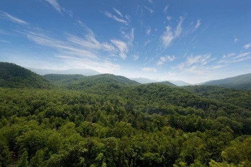 The Park Vista - A DoubleTree By Hilton Hotel - Gatlinburg - image 3