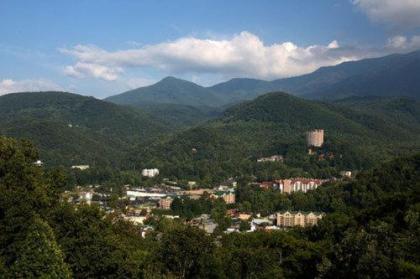 The Park Vista - A DoubleTree By Hilton Hotel - Gatlinburg - image 4
