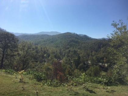 The Park Vista - A DoubleTree By Hilton Hotel - Gatlinburg - image 6