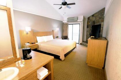 Sidney James Mountain Lodge - image 15