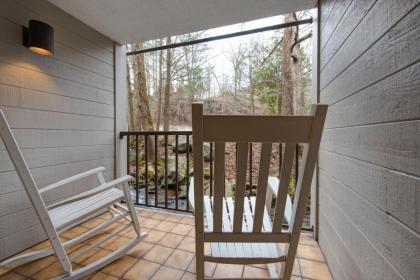 Sidney James Mountain Lodge - image 3
