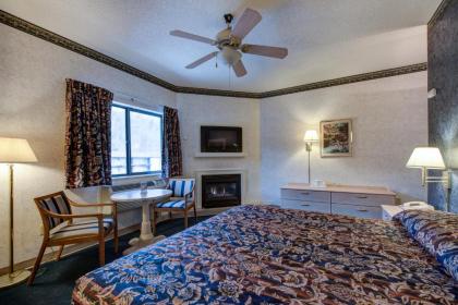 Sidney James Mountain Lodge - image 7