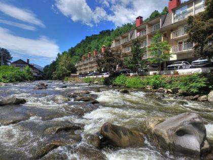 Gatlinburg River Inn - image 11