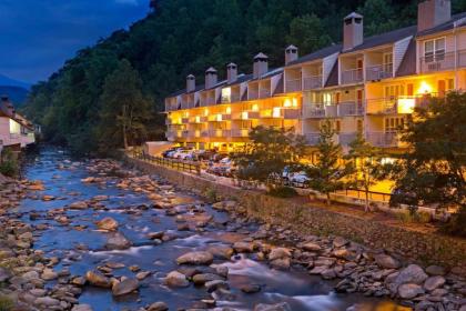 Gatlinburg River Inn - image 17