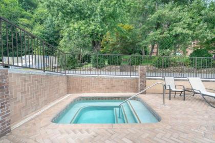 Gatlinburg River Inn - image 20