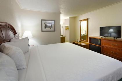 Belle Aire Motel - image 15