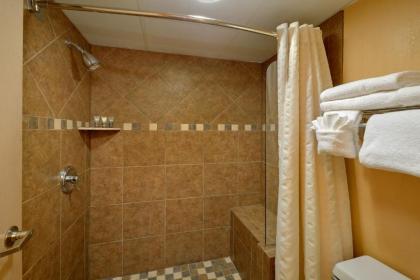 Old Creek Lodge - image 15
