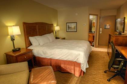 Hampton Inn By Hilton Gatlinburg - image 8