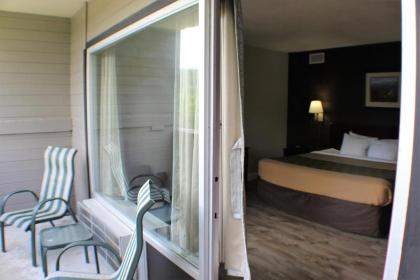 Chalet Inn - image 14