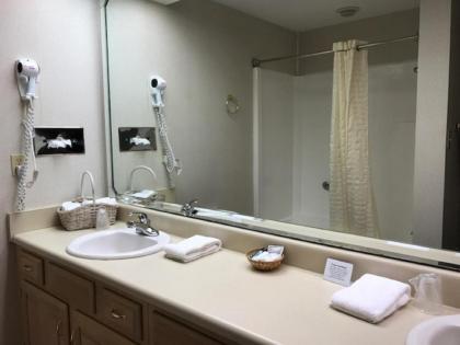 Zoders Inn and Suites - image 20