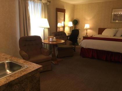 Zoders Inn and Suites - image 4