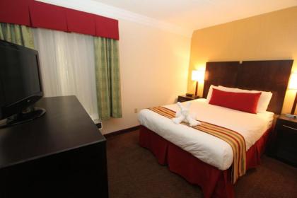 Black Bear Inn & Suites - image 12