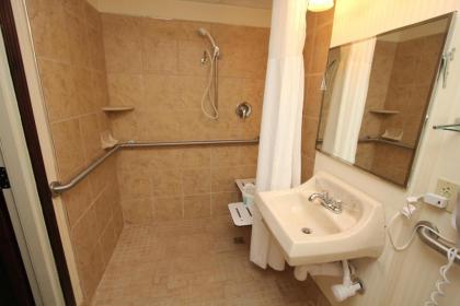 Black Bear Inn & Suites - image 13