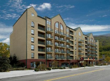 Black Bear Inn & Suites - image 17