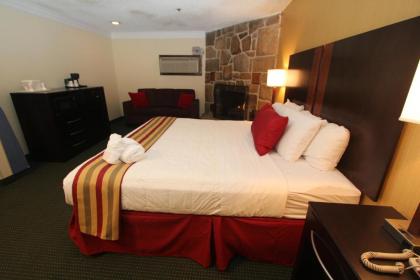 Black Bear Inn & Suites - image 5