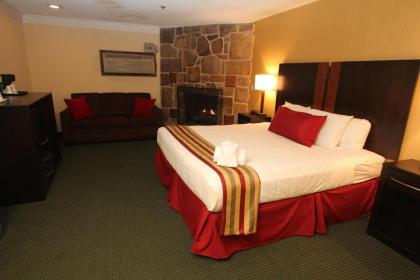 Black Bear Inn & Suites - image 6