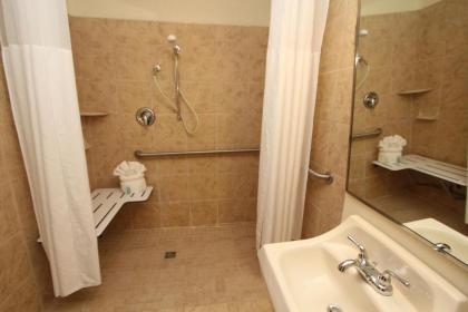 Black Bear Inn & Suites - image 7