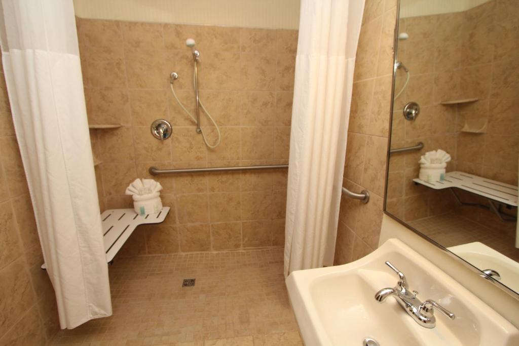 Black Bear Inn & Suites - image 7
