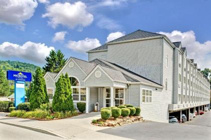 Microtel Inn & Suites By Wyndham Gatlinburg - image 1