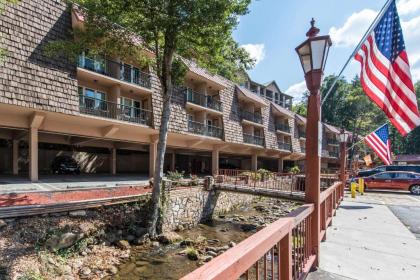 Quality Inn Creekside Gatlinburg - image 5