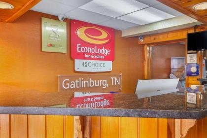 Econo Lodge Inn & Suites At The Conference Center - image 17