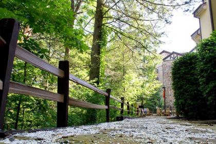 Gatlinburg Town Square By Exploria Resorts - image 9