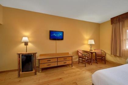 Bearskin Lodge on the River - image 14