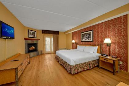 Bearskin Lodge on the River - image 8