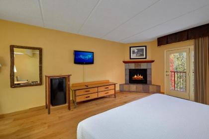 Bearskin Lodge on the River - image 9
