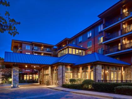 Hilton Garden Inn Gatlinburg - image 3
