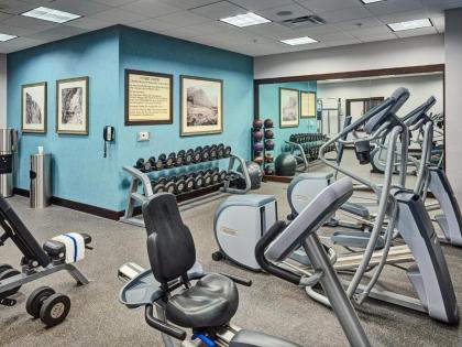Hilton Garden Inn Gatlinburg - image 5