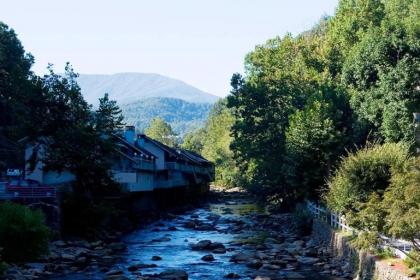 Rocky Waters Motor Inn - image 3