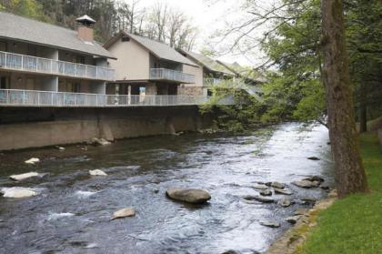 Rocky Waters Motor Inn - image 4