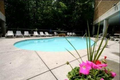 Park Place Condos - image 8