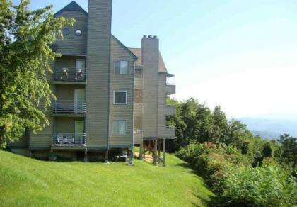 Our Place in the Smokies - image 19