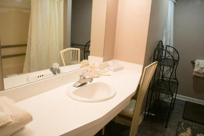 Gatlinburg Chateau Rentals - image 10