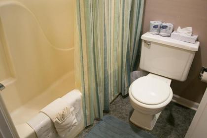 Gatlinburg Chateau Rentals - image 15
