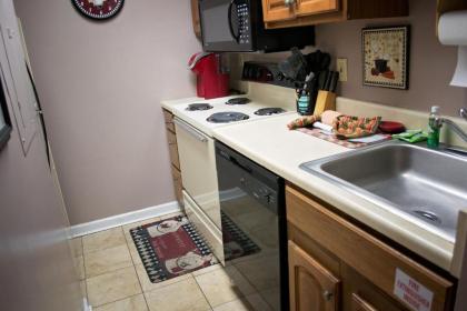 Gatlinburg Chateau Rentals - image 17