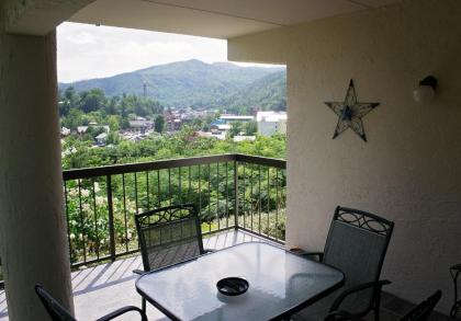 Gatlinburg Chateau Rentals - image 18