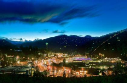 Mountain Glory Holiday home - image 13