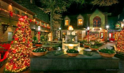 Mountain Glory Holiday home - image 16