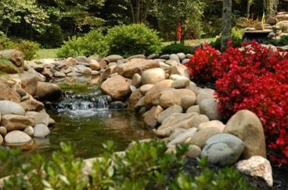 Knotty Pine Delight Holiday home - image 10