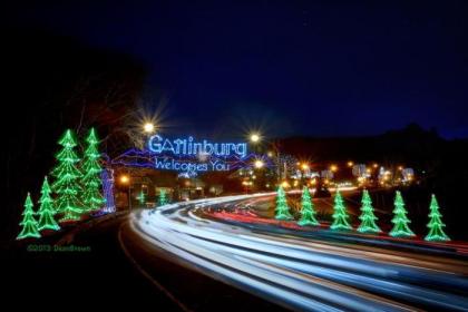 Creeksong Holiday home - image 6