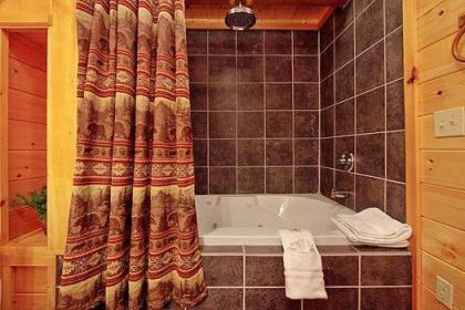 Basswood Lodge Holiday home - image 3