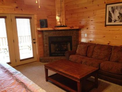 Bear Cub Lodge Holiday home - image 1