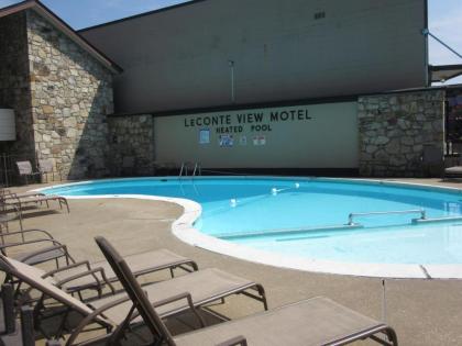 LeConte Motor Lodge A Ramada by Wyndham - image 7