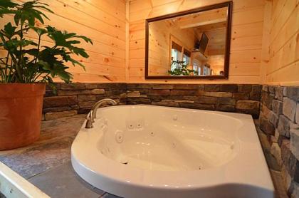 #820 Honeymoon Hideaway - image 11