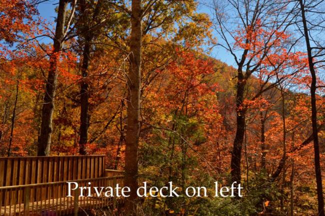 #820 Honeymoon Hideaway - image 7